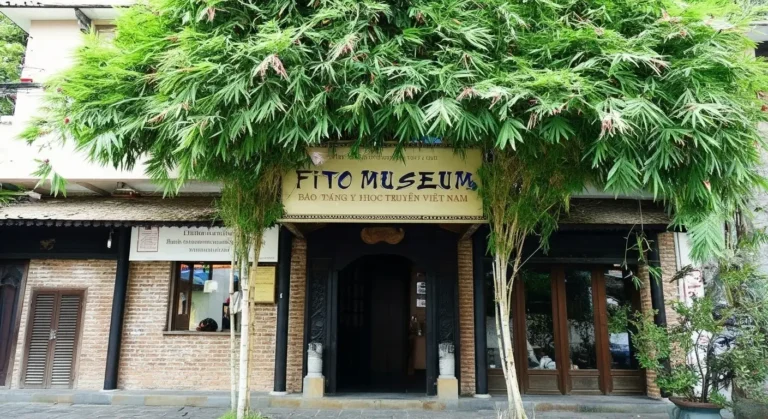 FITO Museum HCMC: Traditional Vietnamese Medicine & History