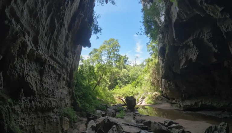 Dark Cave Phong Nha: Zipline, Mud Bath & Ultimate Adventure