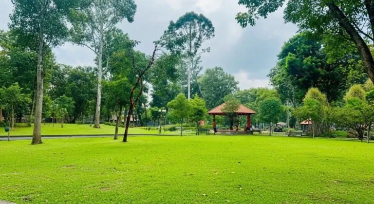 Gia Dinh Park: HCMC's Largest Green Space & Family Hub