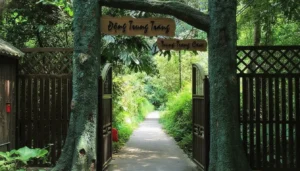 Trung Trang Cave: Cat Ba National Park's Largest Cave & Navy War History Site