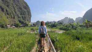 Buffalo Cave: Ninh Binh Farm Life Experience & Water Buffalo Interaction