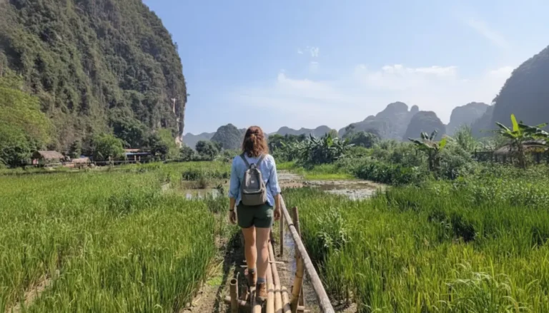 Buffalo Cave: Ninh Binh Farm Life Experience & Water Buffalo Interaction