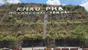 Khau Pha Pass: Vietnam's Great Mountain Pass for Paragliding & Terraced Views