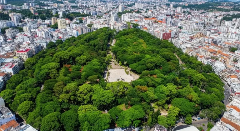 Tao Dan Park HCMC: Central Green Lung & Local Life Hub