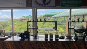 Me Linh Coffee Garden Dalat: Weasel Coffee Farm with Panoramic Valley View