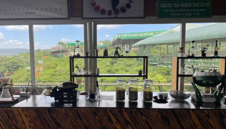 Me Linh Coffee Garden Dalat: Weasel Coffee Farm with Panoramic Valley View