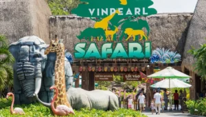 Vinpearl Safari Phu Quoc: Open Zoo, Wildlife Bus Tour & Giraffe Feeding