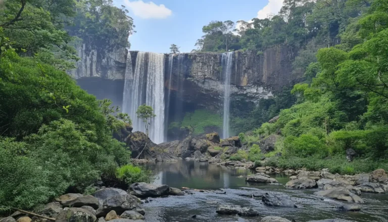 Kon Chu Rang Nature Reserve: Trekking to K50 Waterfall & Pristine Forest