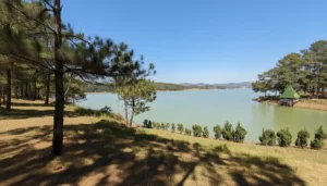 Dalat Golden Valley Tourist Park: Scenic Pine Forest & Dankia Lake Views