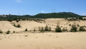 Phuong Mai Sand Dunes: Sandboarding & Coastal Desert Views near Quy Nhon