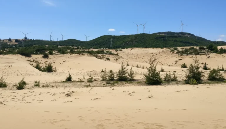 Phuong Mai Sand Dunes: Sandboarding & Coastal Desert Views near Quy Nhon