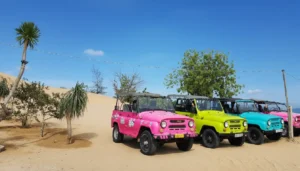 Nam Cuong Sand Dunes: Ninh Thuan Sunset, Sandboarding & Cham Culture