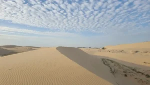 Mui Ne White Sand Dunes: Bau Trang Lake, ATV & Jeep Desert Tours