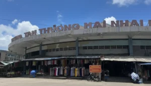 Dam Market Nha Trang: Central Lotus Architecture & Seafood Shopping Hub