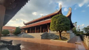 Quang Trung Museum: Tay Son Uprising & Emperor's Historical Birthplace