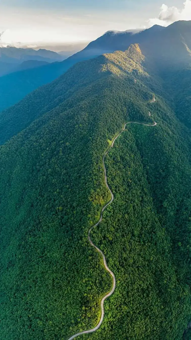 Whisk_0f815e2e79a0c468b1e4e46e4360a8b3dr