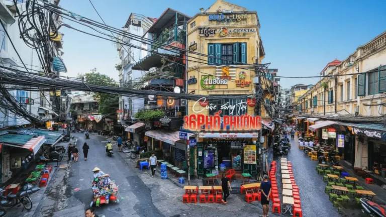 Whisk_58b51f7d0306ff6b167462bc45eceb5edr