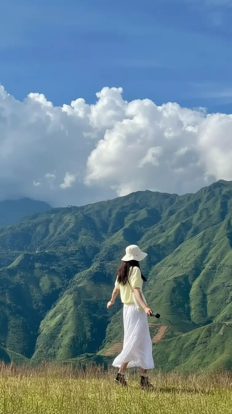 Whisk_5bb486778b14afaa3a9446a6cc61d550dr