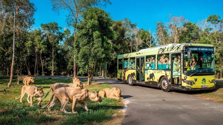 Whisk_65aaa02c14d55bdbc664f046c05ac033dr