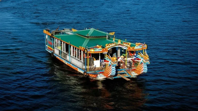 Whisk_91ce9e6bf9217eeb7b8477e2ad5e2706dr