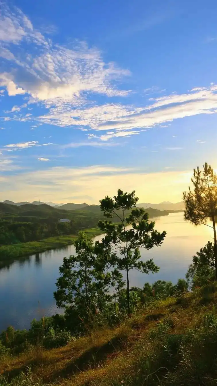 Whisk_a87c9827900a7e48eea4422d75fb3abddr