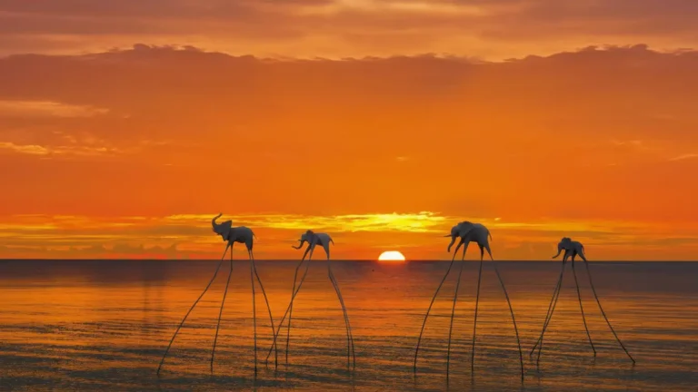 Whisk_ceefae1117a3ec1909a4a9376a84f981dr