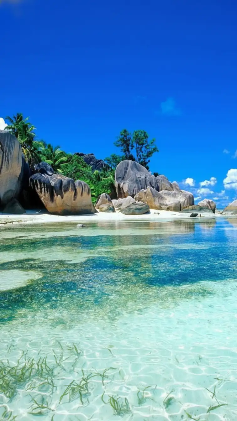 Whisk_d374d6041639d9ba4e34c59614c554e5dr