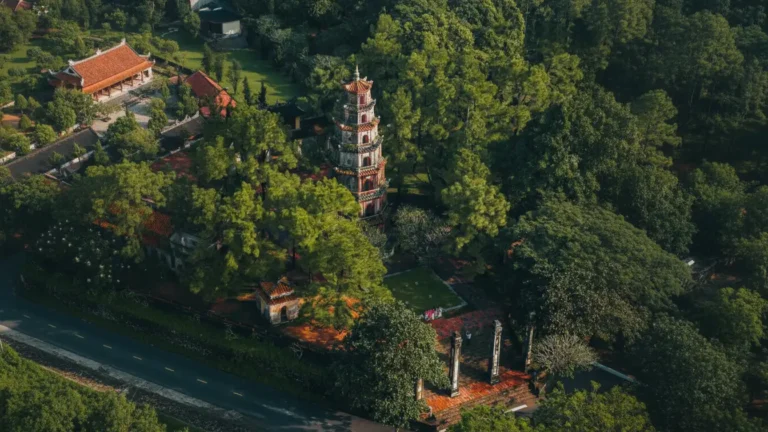 Whisk_ddef9a574c55ea98db340f2766f4504cdr