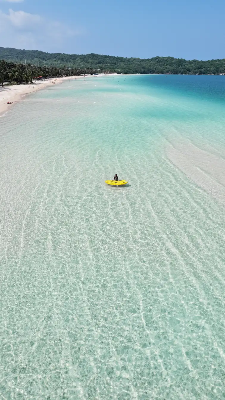 Whisk_def65a5552bccde82794dabeac2393e1dr