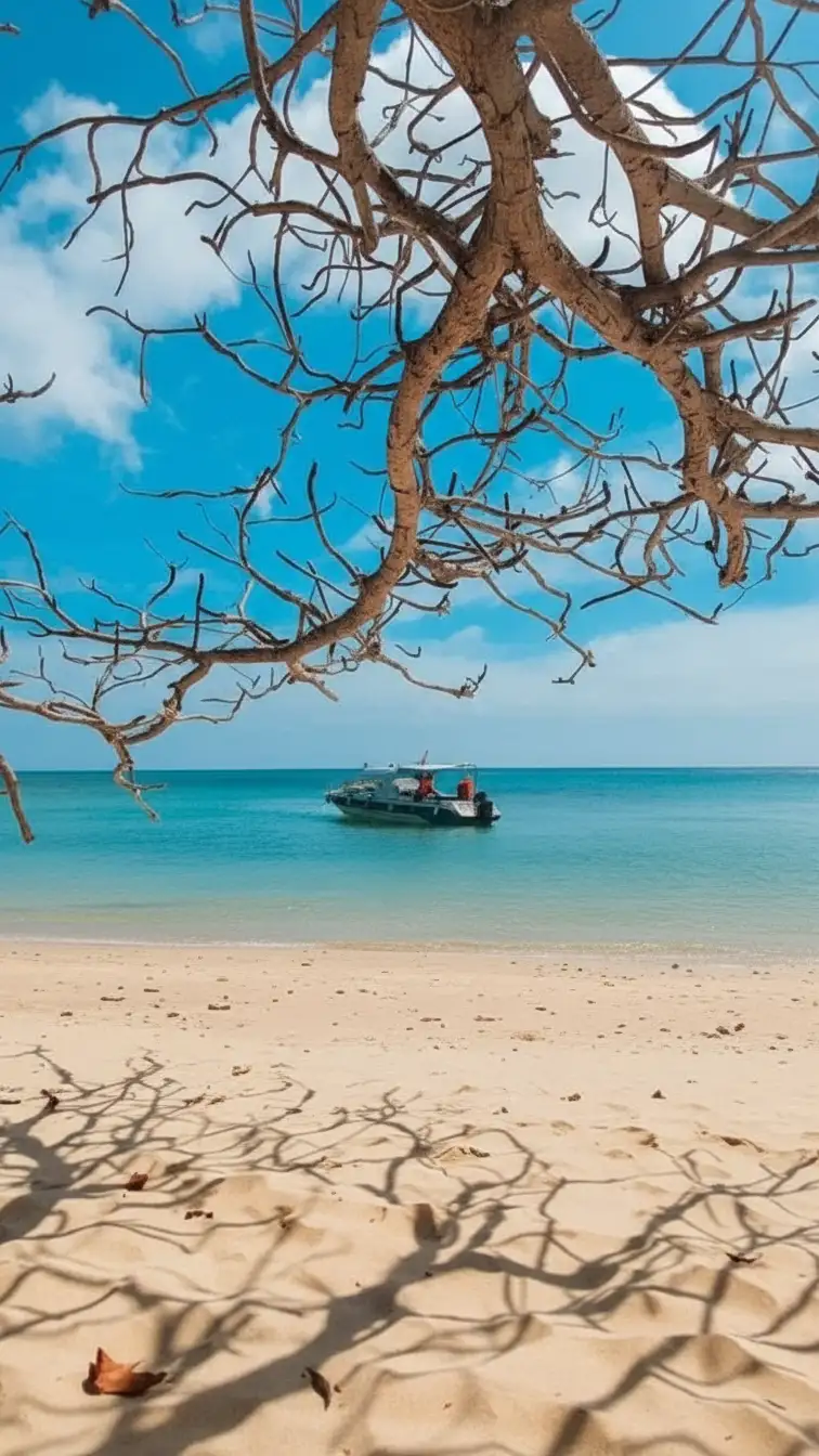 Whisk_ef76c9c04cb77eda87947ce790b22531dr