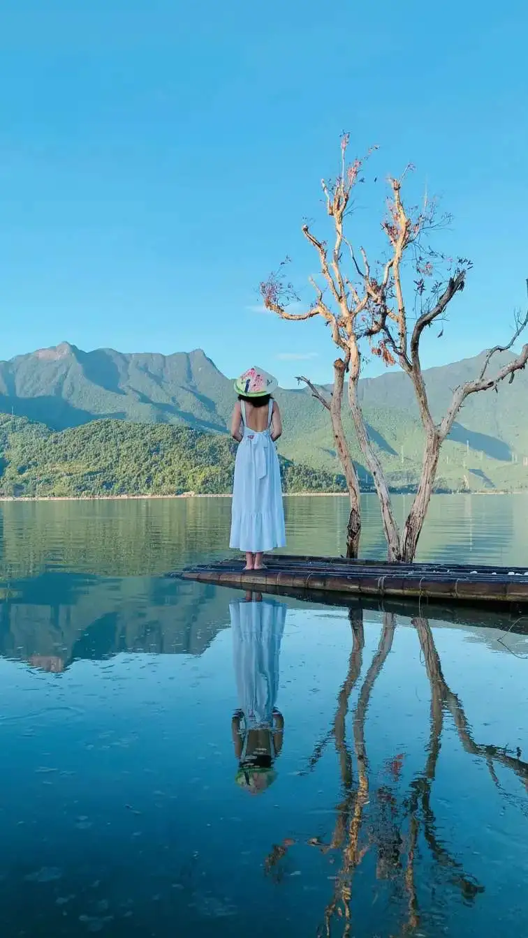 Whisk_fb0b371a057e55b93864fb3e614cc502dr