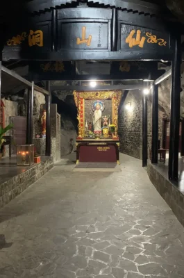 Whisk_023dc0cca24d3a886944d0fb08f87d73dr