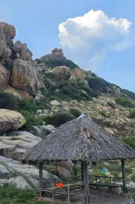 Whisk_05f2eca9dab569a91c1490ffa43b16fbdr