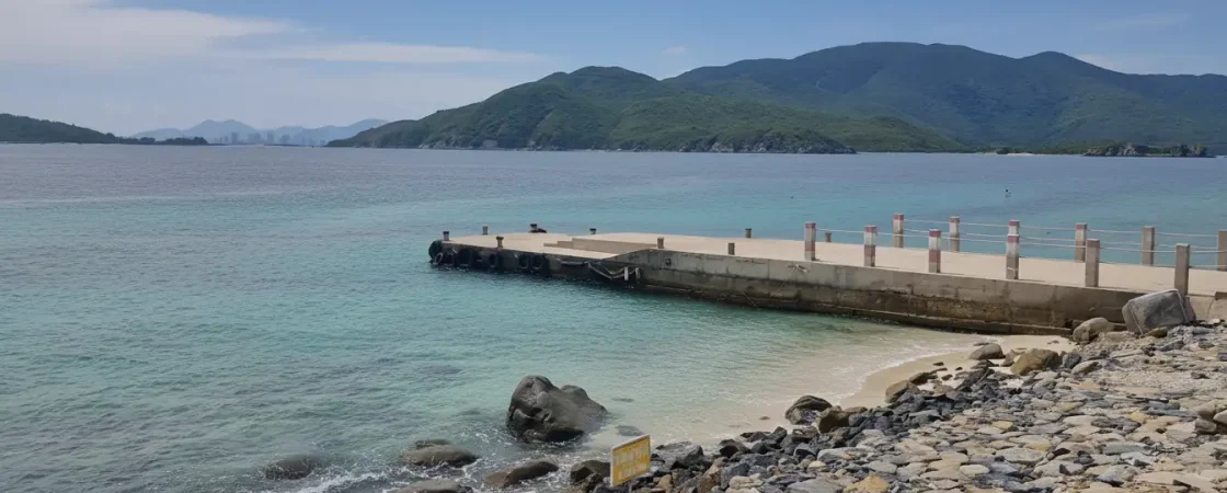 Whisk_084214caf8b9b429aff4d60c6be393bfdr