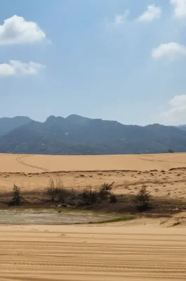 Whisk_09ecd1bec74b2b59671416f982e23ed1dr