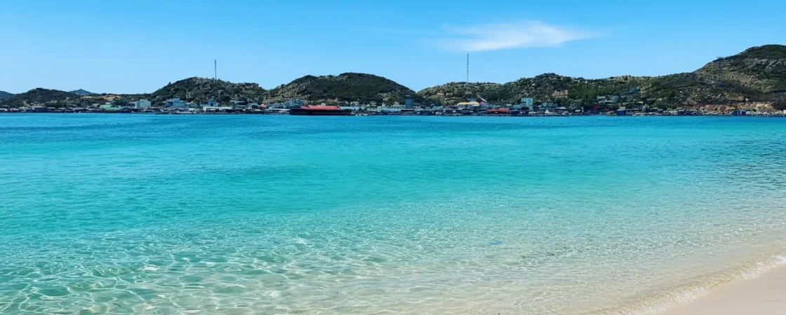 Whisk_0c957a9ef6cf0afa7614dc98ec11417bdr