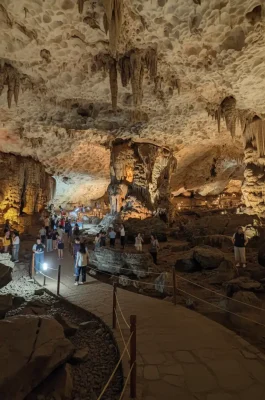 Whisk_0cf315ad23906feb2424730a33ba57aedr