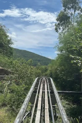 Whisk_17ee2f7c95a8cc083ce4cae7c1dcd3cddr