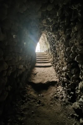 Whisk_208a34e61109f3ba0924bedb7d184541dr