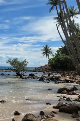 Whisk_29bfa4a94404d7a951849f05747b45d2dr