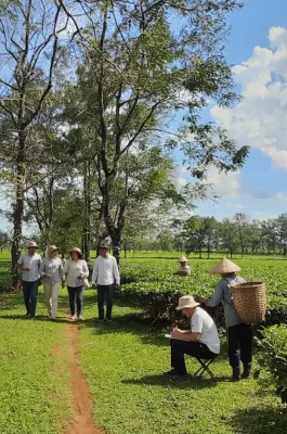 Whisk_2d82f4ebe7b6d08acb34390cd748a8c9dr