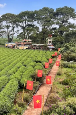 Whisk_37726badf245d33a5f947e0f15c6b730dr