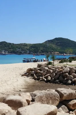 Whisk_3b7907d8e2c3c0ea5bf4dd6982fa7cf8dr