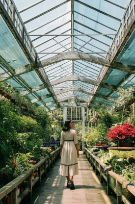 Whisk_57e8e2e33367392b0e64b2fe7c7a71bbdr