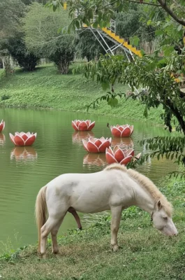 Whisk_5a849ef8cbc0e17b80f48722a222089edr