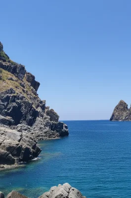 Whisk_5d681cf179364ff8f494dbd56af2ef04dr