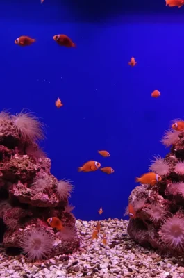 Whisk_7660bbe2d8cb657b7bc423833d6a22eddr