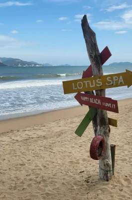 Whisk_8211717ba0f5c28b7eb4fb87d203de9edr