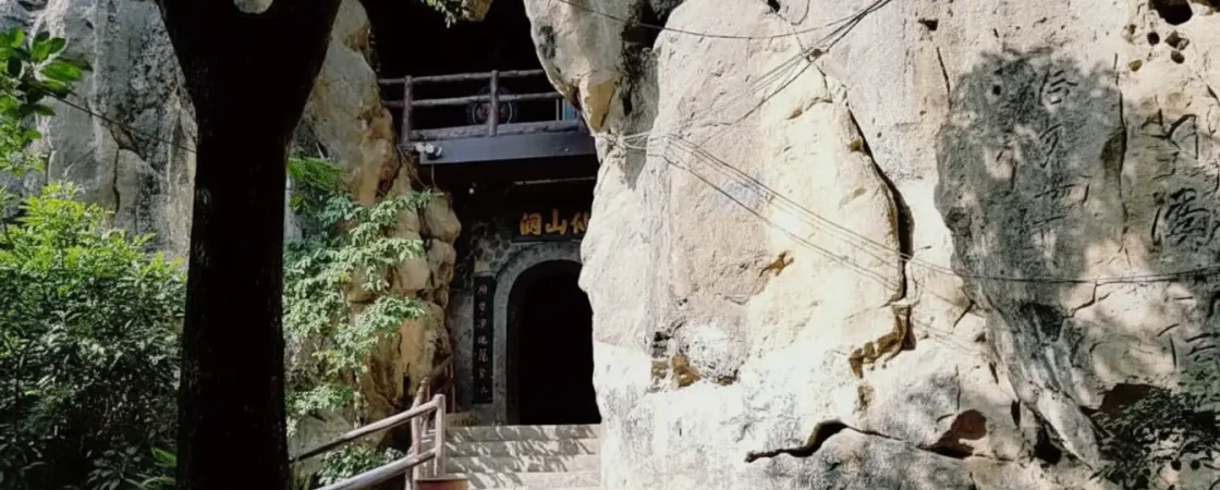 Whisk_82356fd6a78b2bd9ec740cb7a1fb9b8bdr