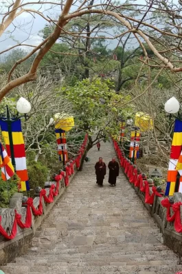 Whisk_8d05ed1c91ee6d0b4f5454d7f21e83e7dr